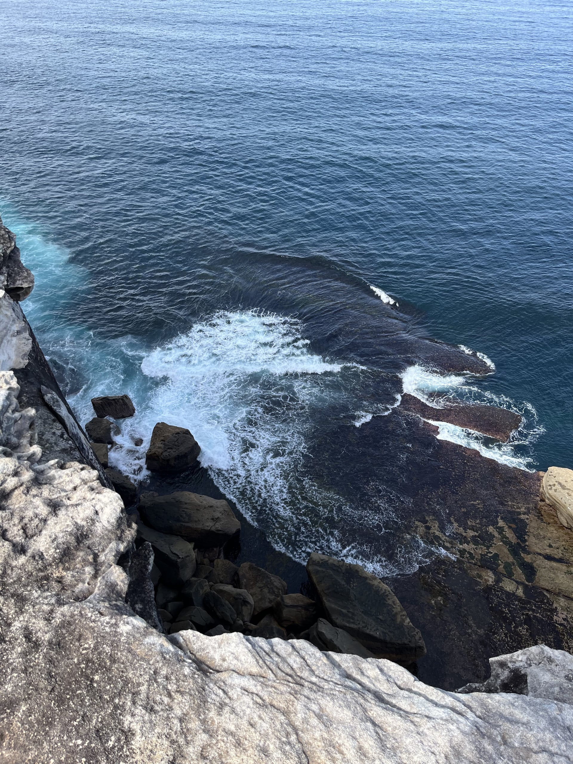 overseeing the ocean